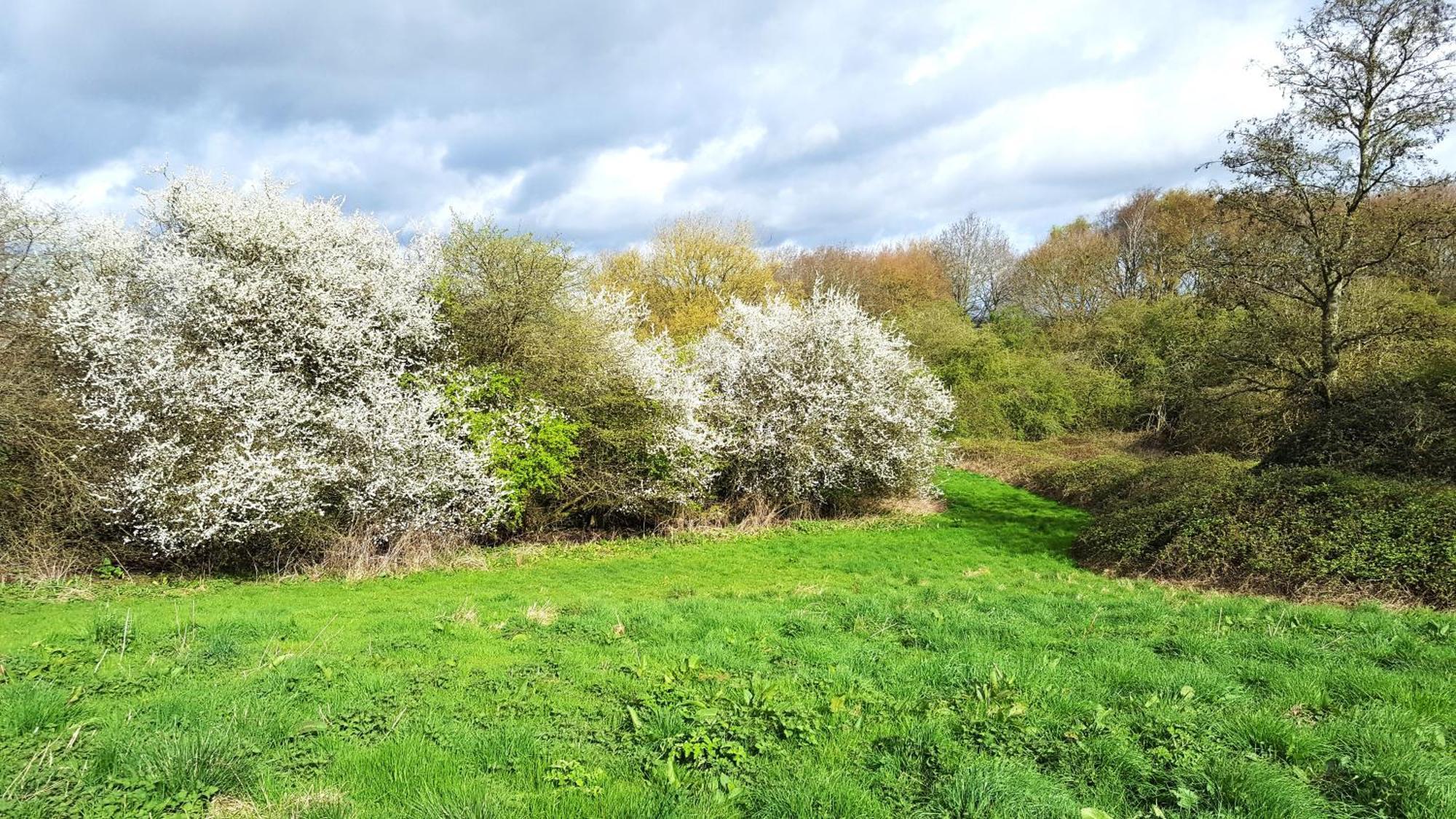Hilltop Farm Holidays Lincoln Extérieur photo